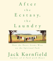 After the Ecstasy, the Laundry: How the Heart Grows Wise on the Spiritual Path